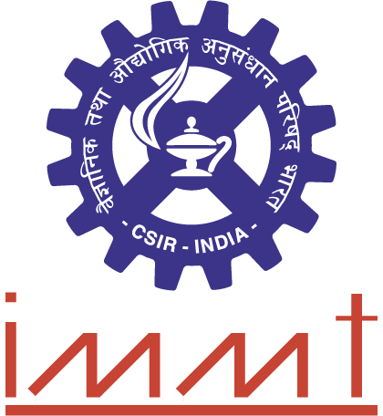 IMMT Logo