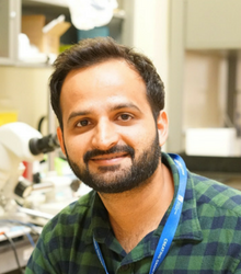 Dr. Hasan Mohammad
